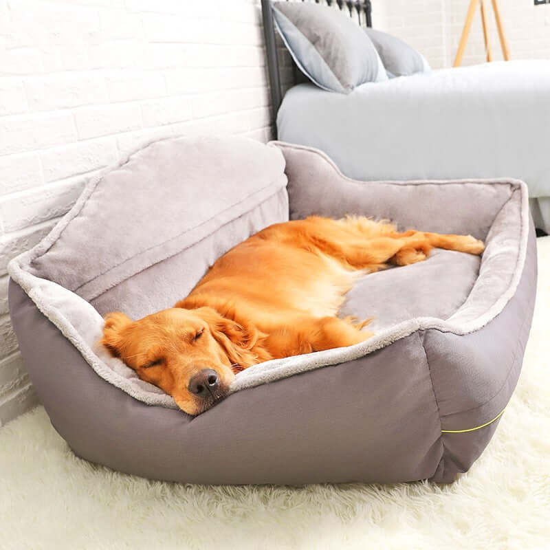 portable dog bed