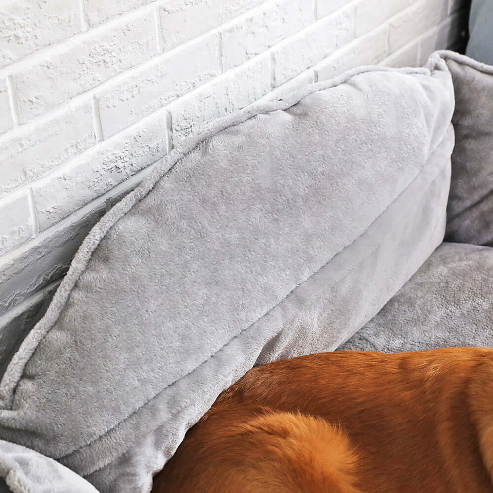 portable dog bed