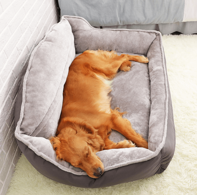 portable dog bed