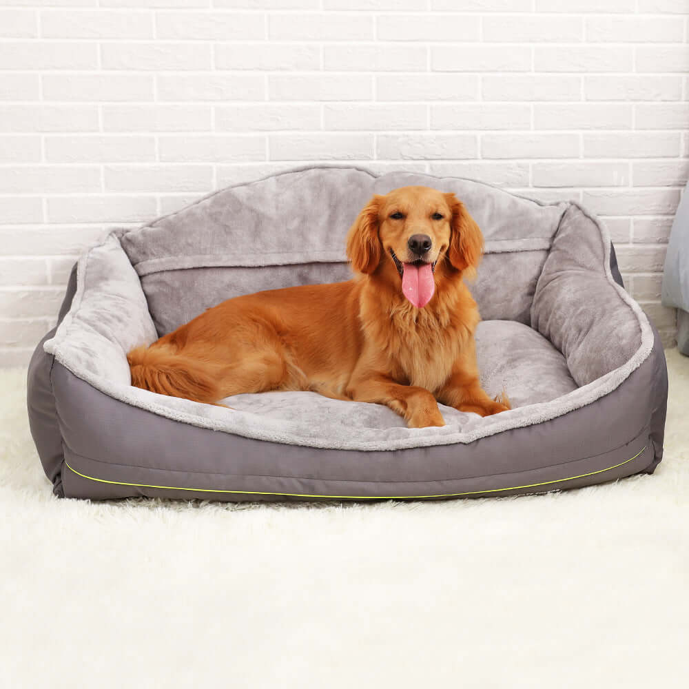 portable dog bed