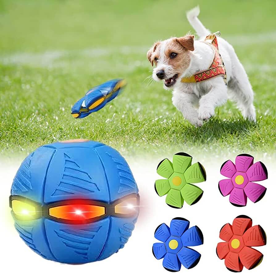 Dog Frisbee - Keep Your Pup Happy and Engaged!