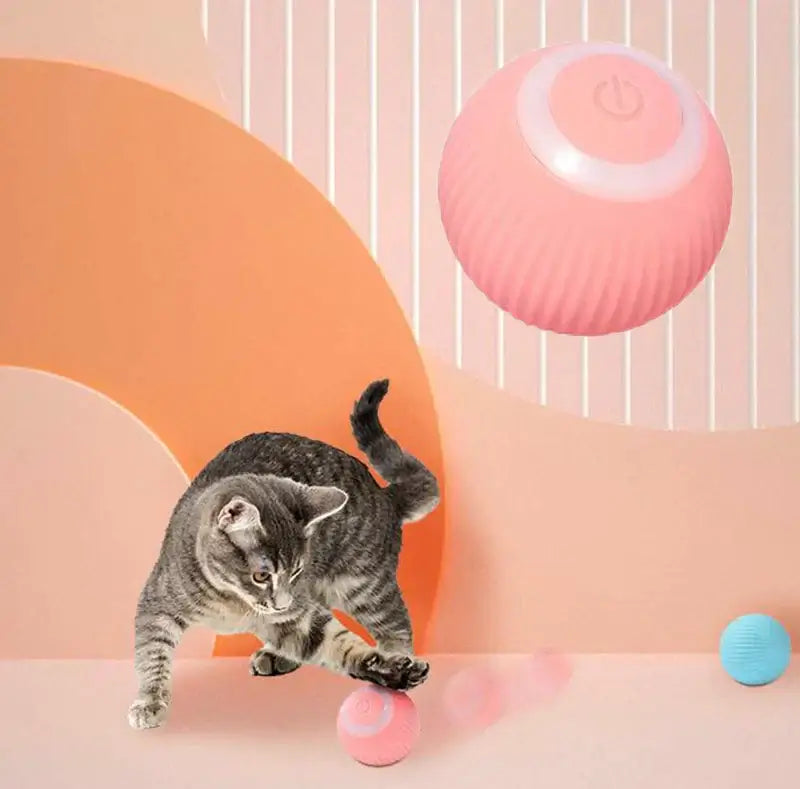 interactive cat toy ball