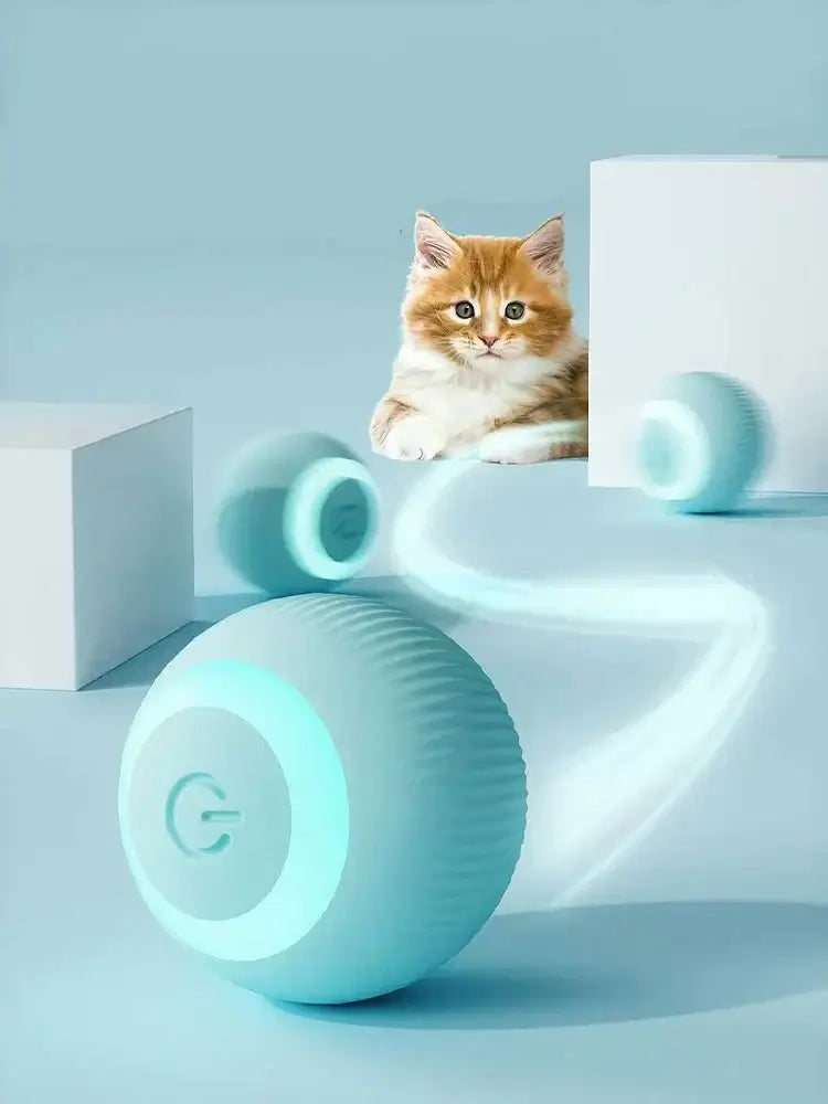 interactive cat toy ball