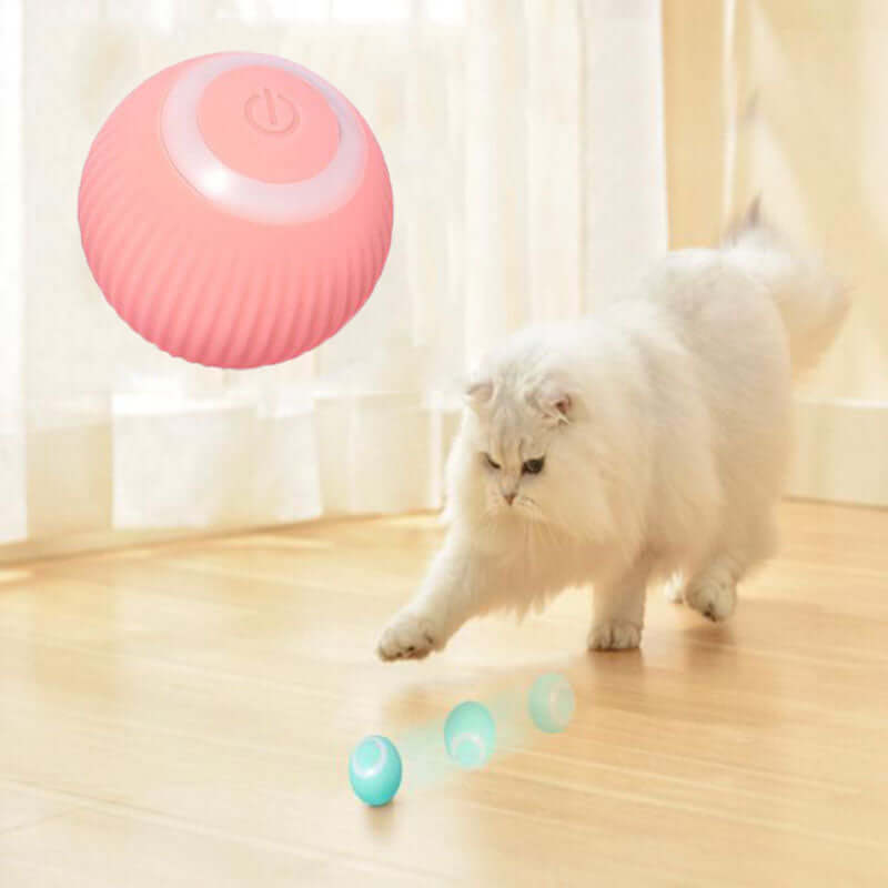 interactive cat toy ball