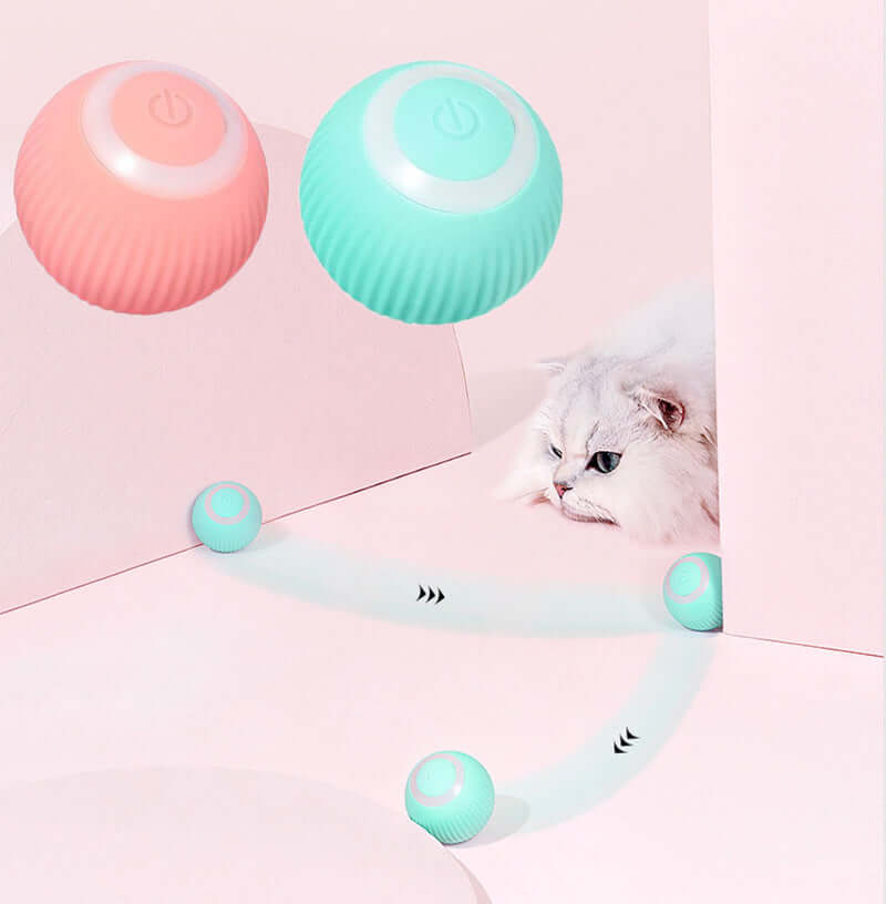 interactive cat toy ball
