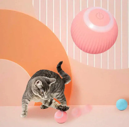 interactive cat toy ball