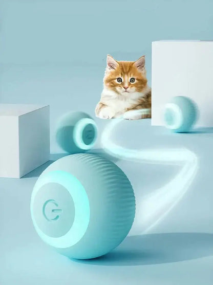 interactive cat toy ball