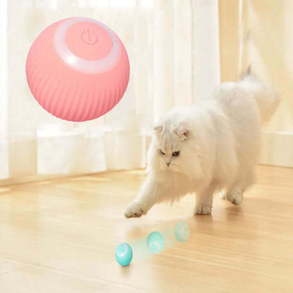 interactive cat toy ball